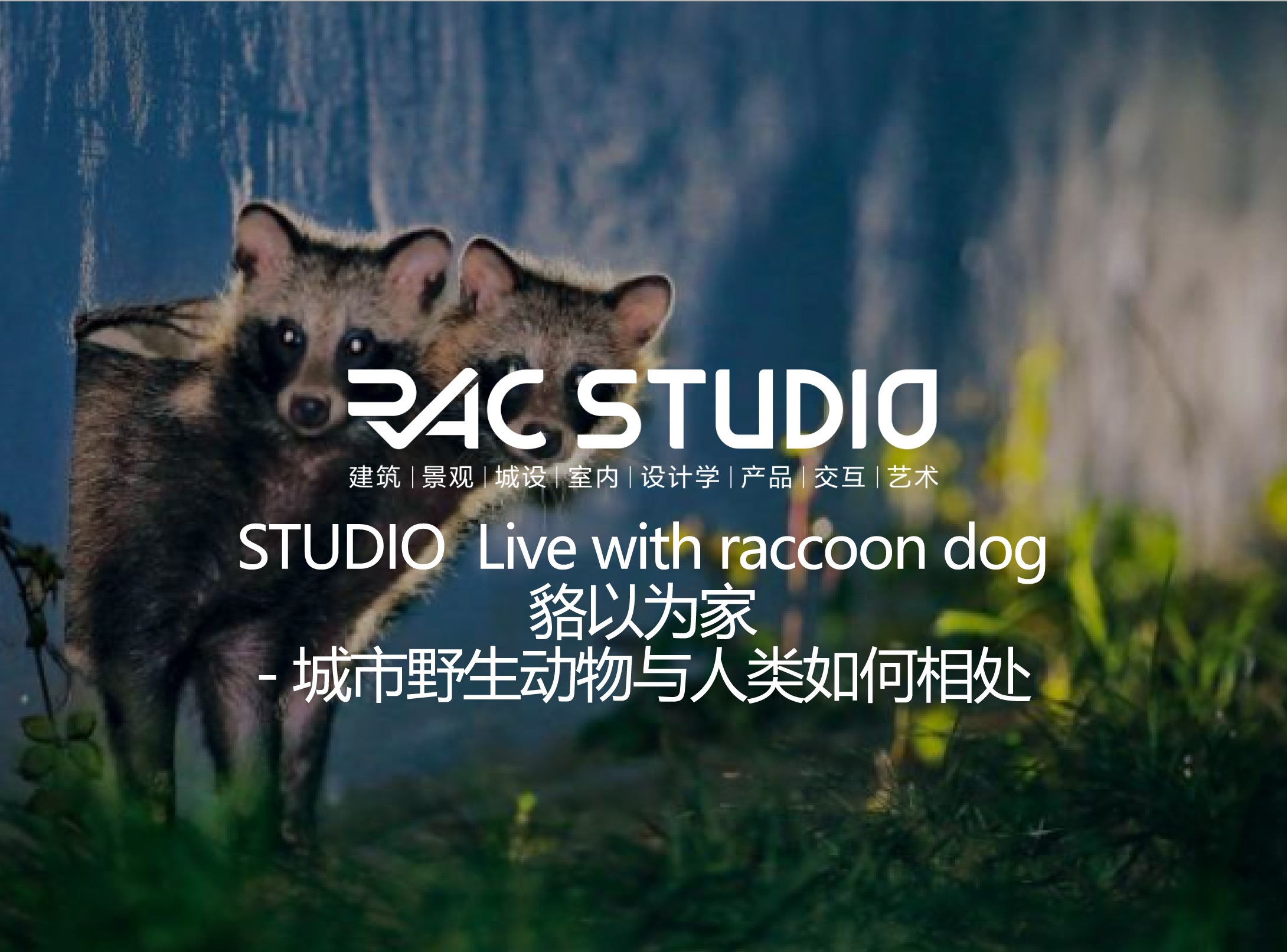 1V1/1VN课题-Live with raccoon dog貉以为家 -城市野生动物与人类如何相处