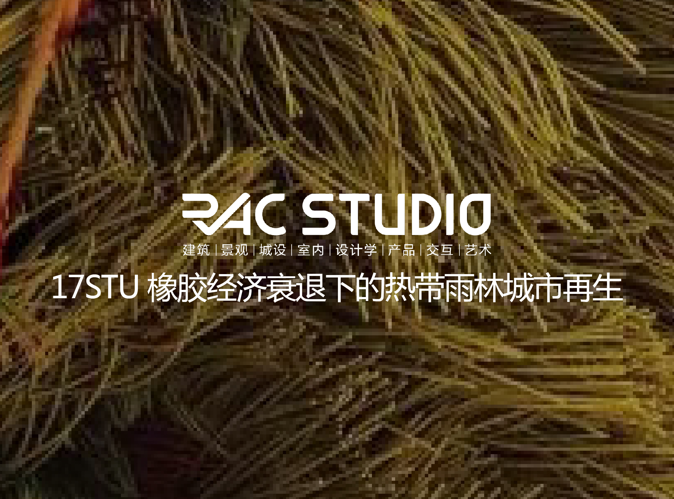 2017 Studio19 橡胶经济衰退下的热带雨林城市再生