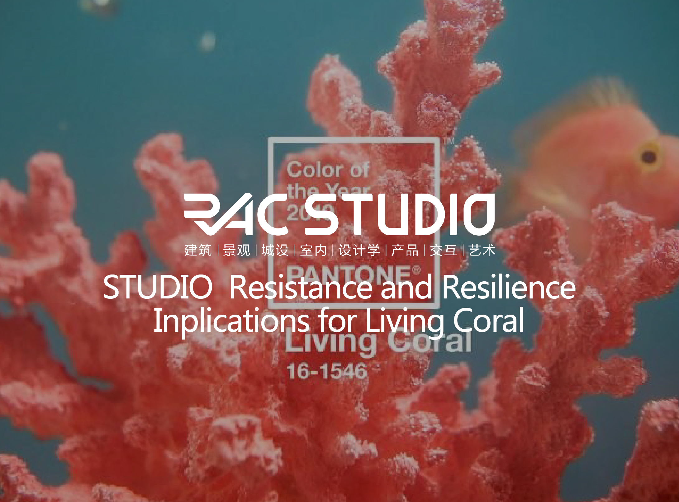 2019 Studio35 Resistance and Resilience Implications for Living Coral