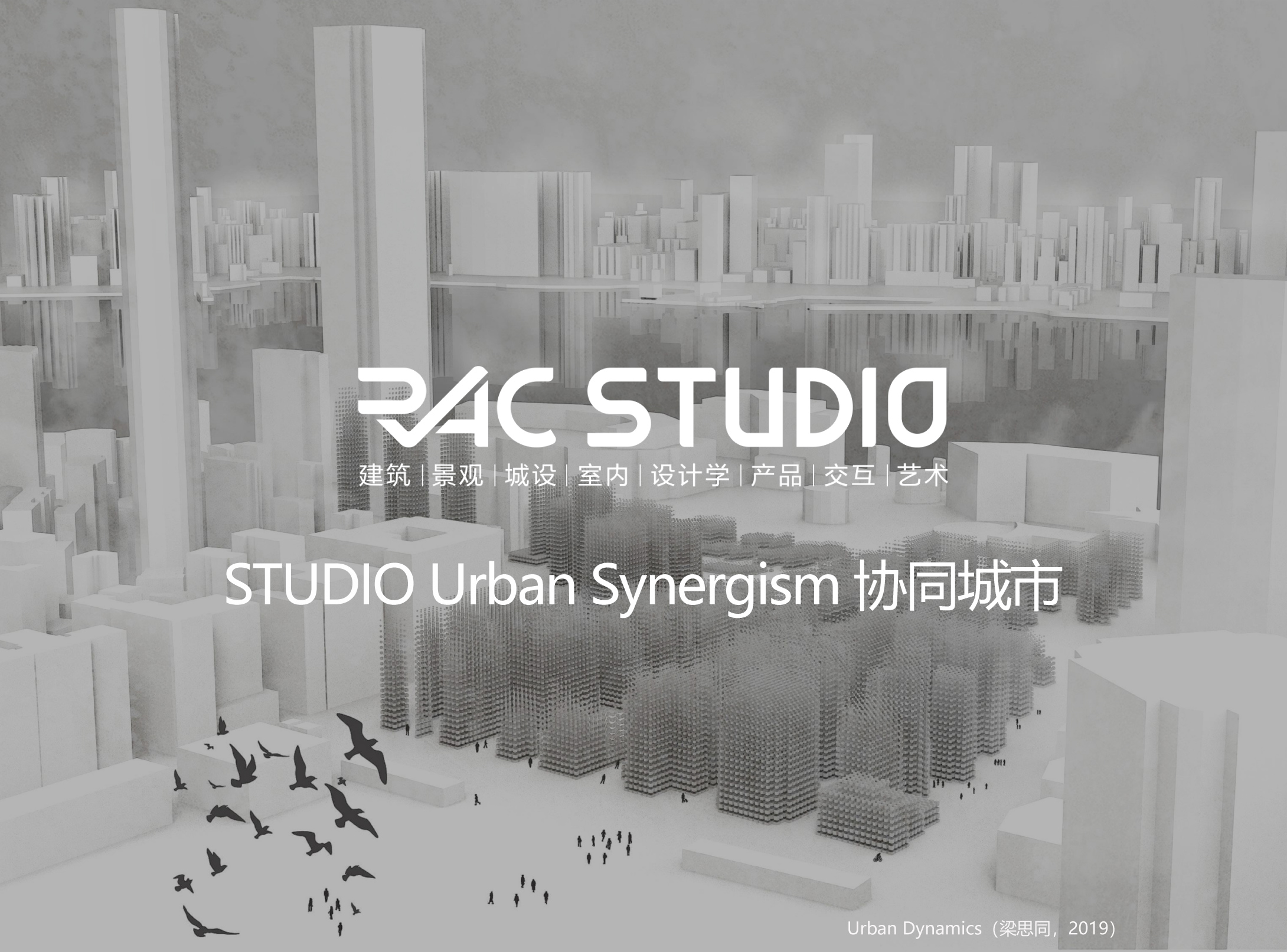 2021 STUDIO Urban Synergism 协同城市