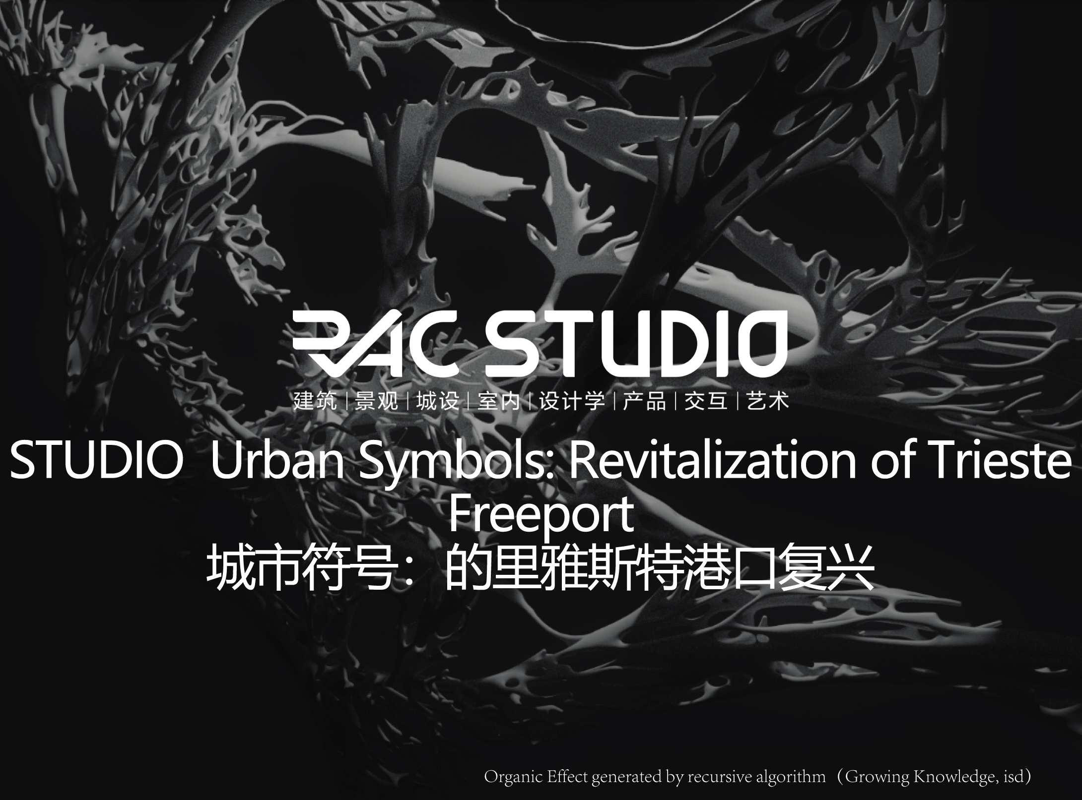 2021STUDIO 城市符号:的里雅斯特港口复兴 Urban Symbols: Revitalization of Trieste Freeport
