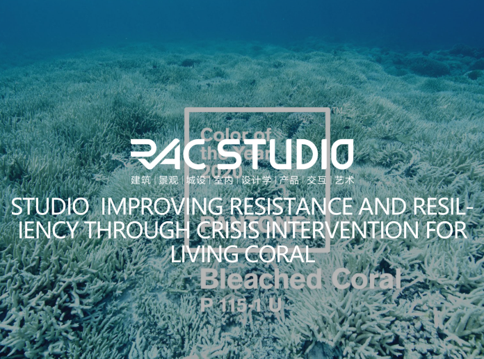 2020Studio IMPROVING RESISTANCE AND RESILIENCY THROUGH CRISIS INTERVENTION FOR LIVING CORAL