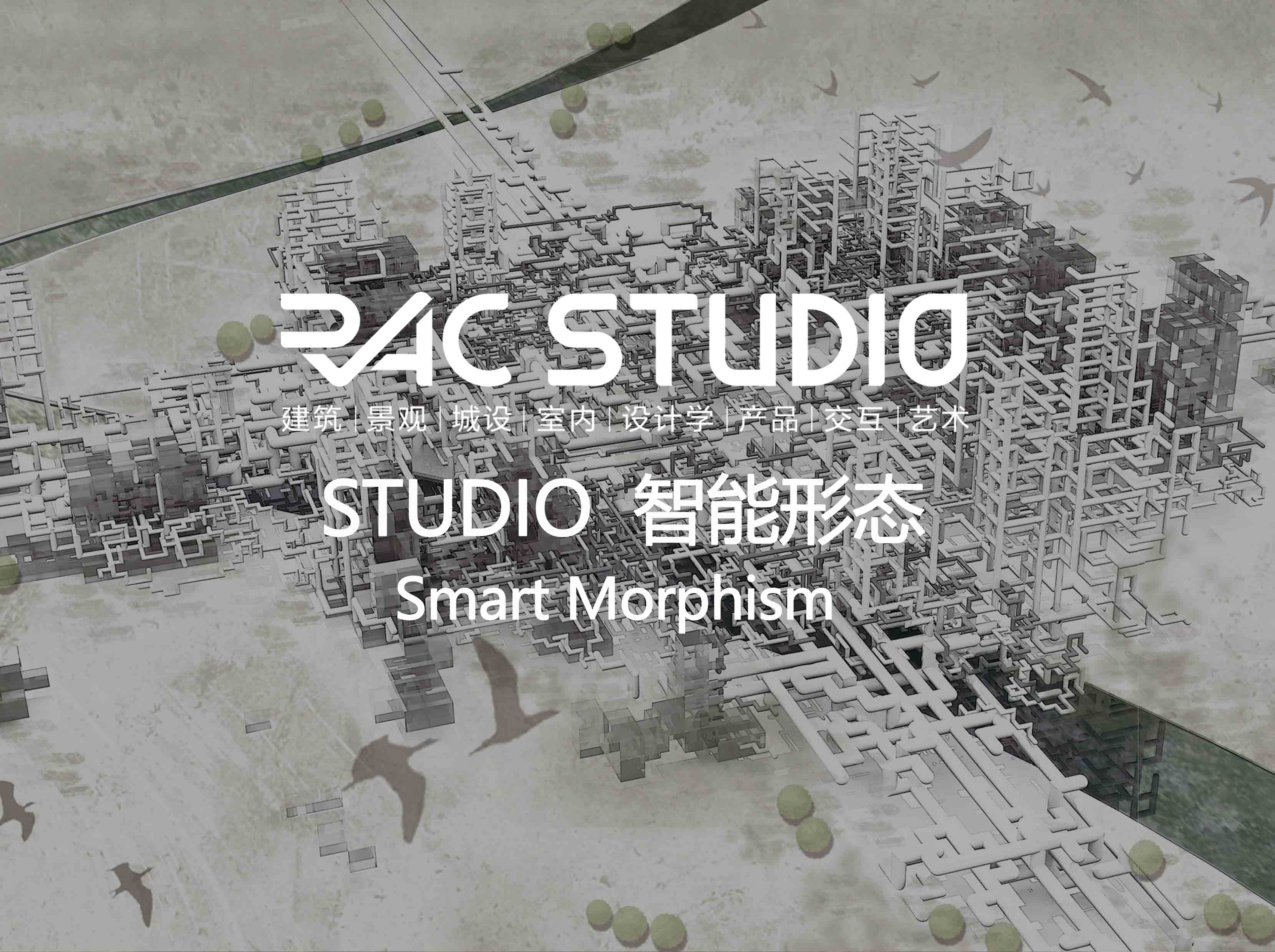 2019 Studio48 Smart Morphism 智能形态