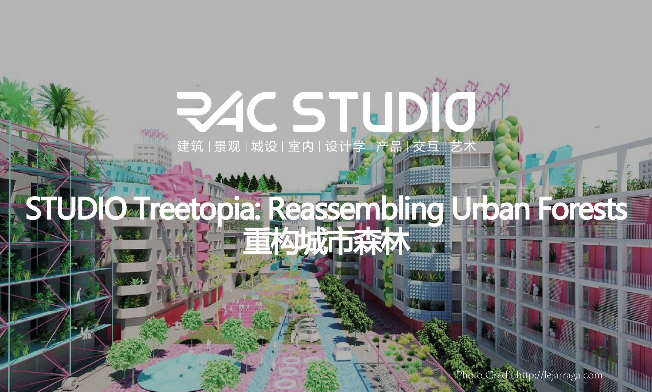 2022STUDIO 重构城市森林 Treetopia: Reassembling Urban Forests