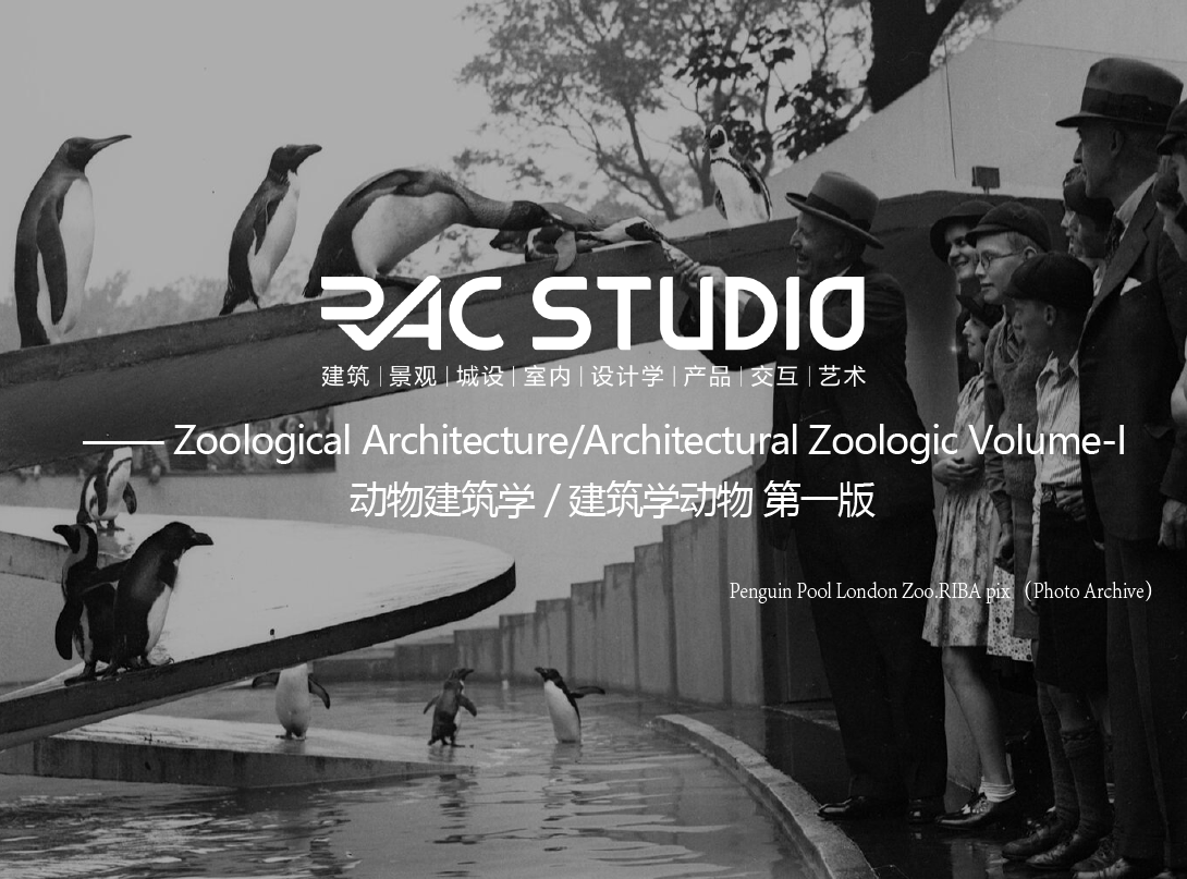 动物建筑学/建筑学动物 第一版  Zoological Architecture/Architectural Zoologic Volume-I