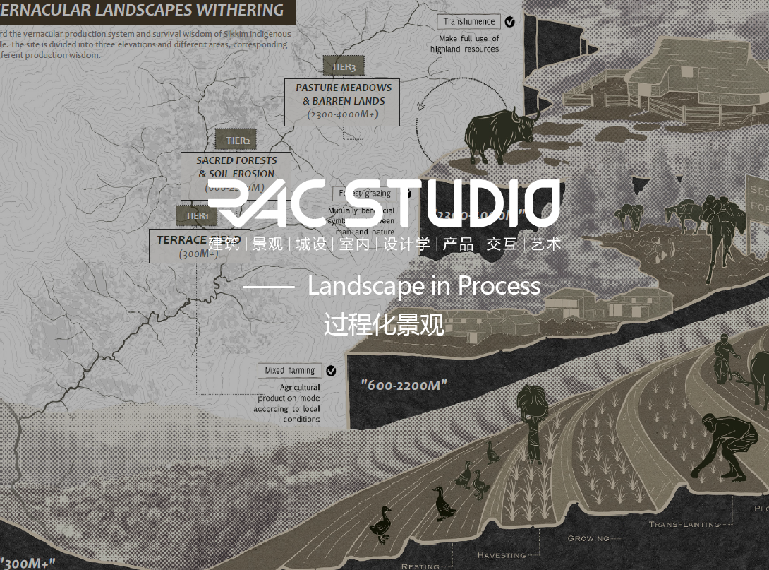 Landscape in Process过程化景观  landscape in process