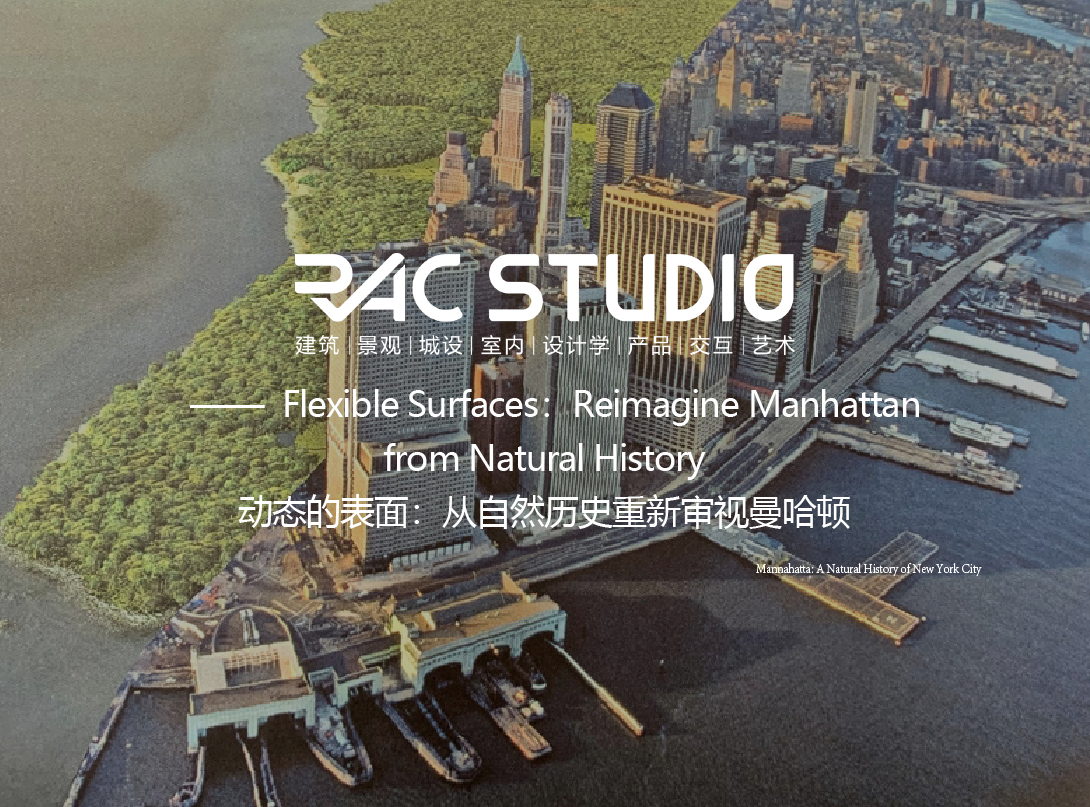 动态的表面：从自然历史重新审视曼哈顿  Flexible Surfaces：Reimagine Manhattan from Natural History
