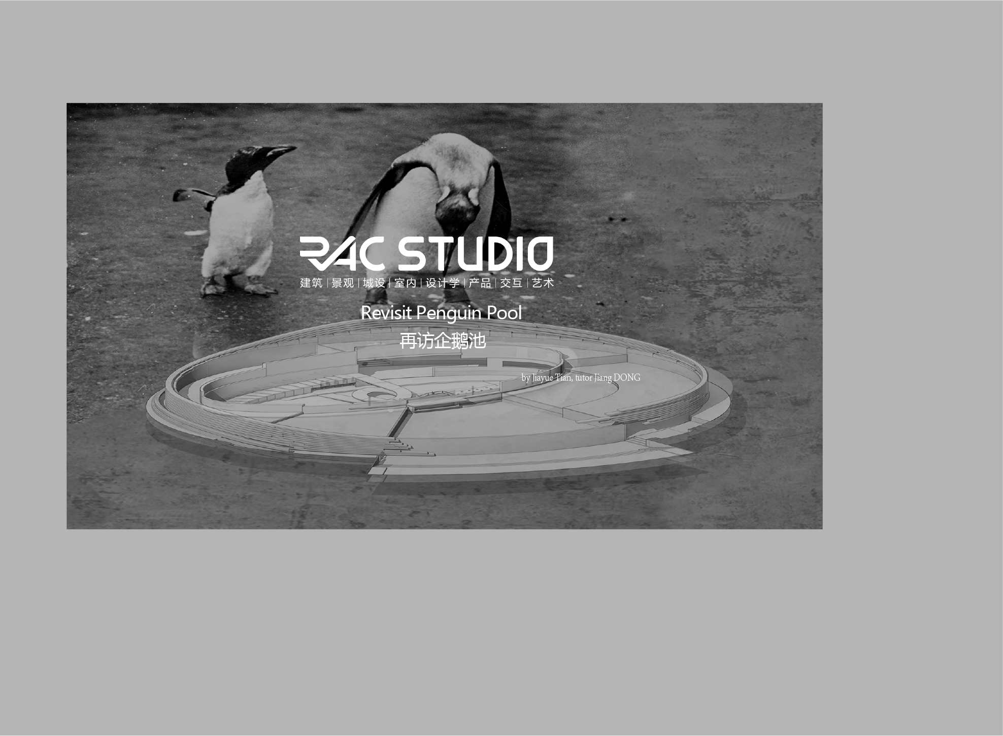 再访企鹅池  Revisit Penguin Pool