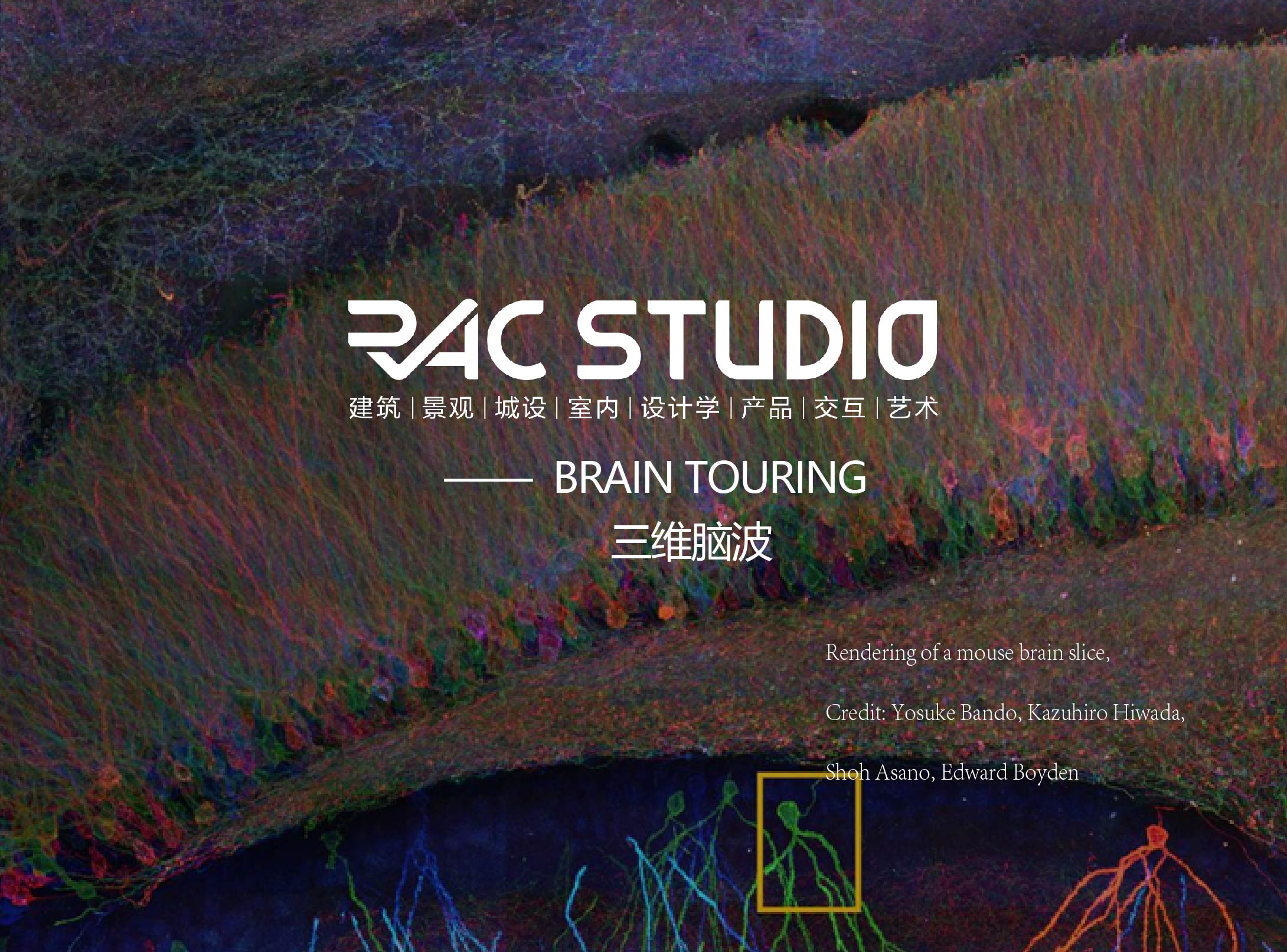 【2023海外教授工作坊】-三维脑波 BRAIN TOURING