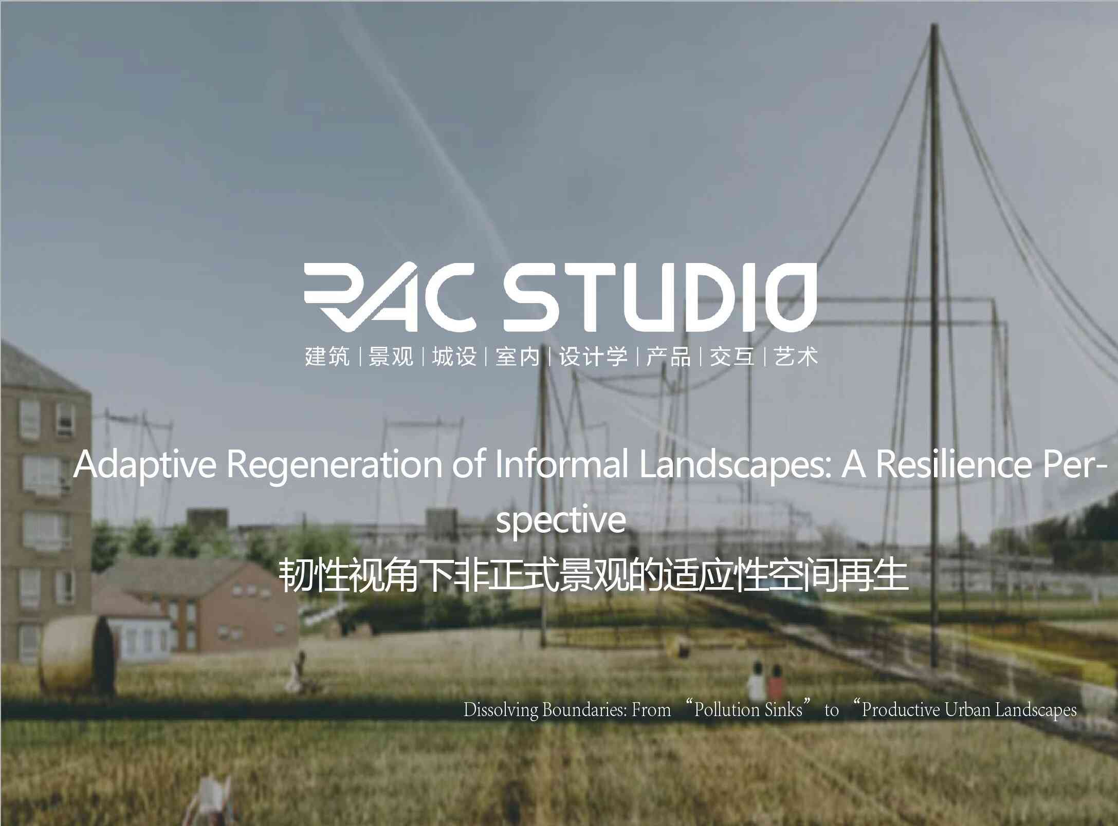 韧性视角下非正式景观的适应性空间再生  Adaptive Regeneration of Informal Landscapes: A Resilience Perspective