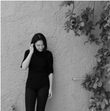 Wenjing