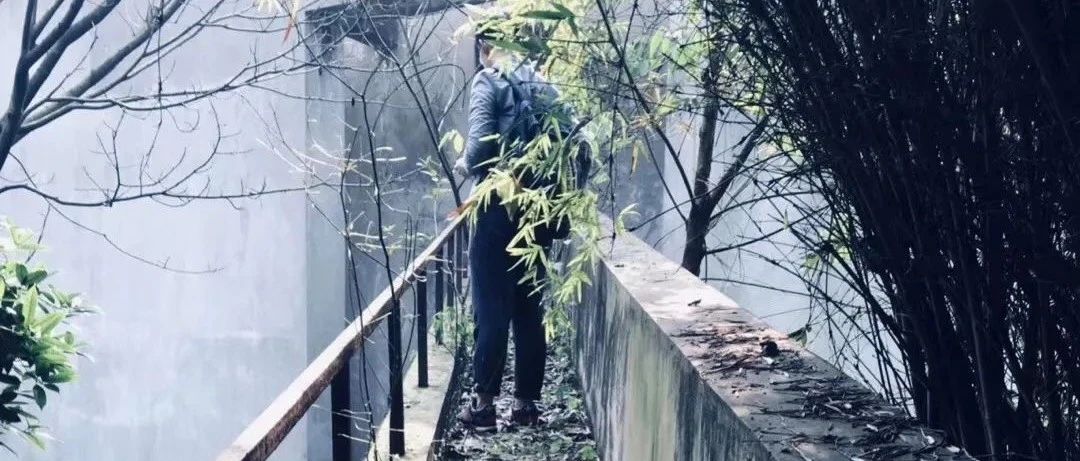 托福90选手弃美从英，获大满贯
