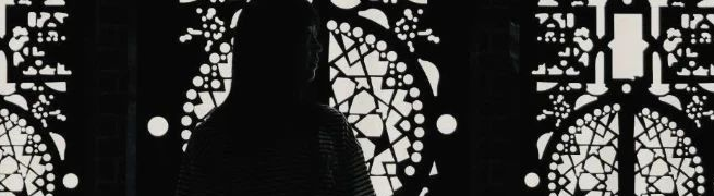  “理论型选手”与 哈佛GSD-MDes 真的很配！（文附作品集上岸tips）