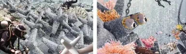 你还在追鱿鱼游戏？其他设计师已经在为章鱼设计景观了！
