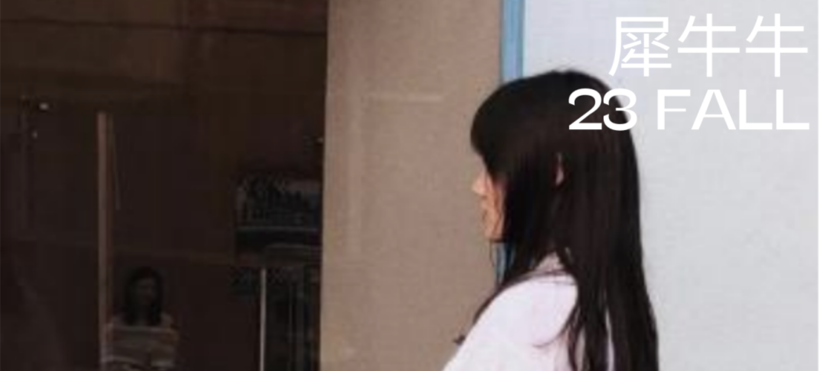 “命里有时终须有”，211学姐与UCL的双向选择