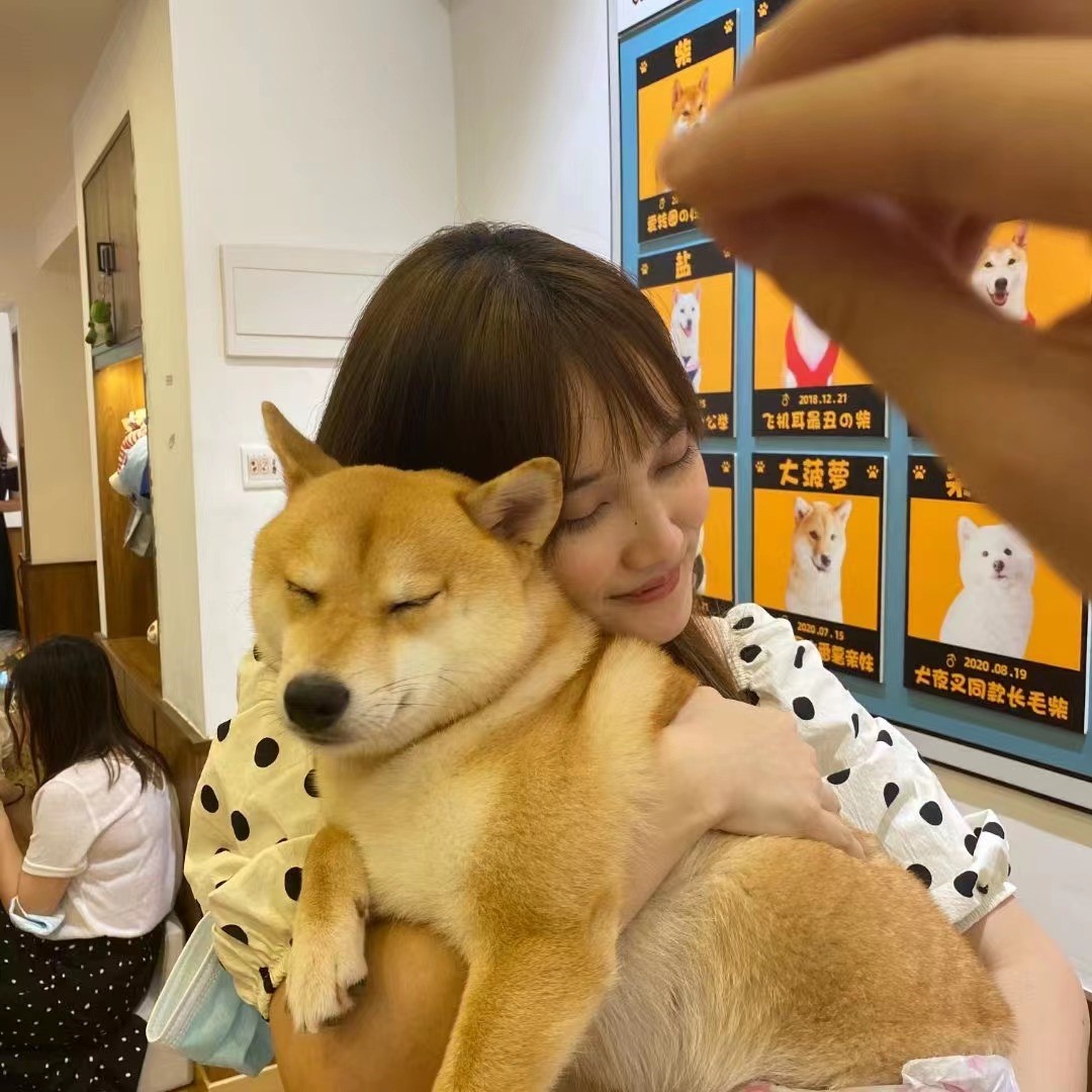 广工学姐考研失败后实习半年，极限重做作品集收获新国立/米理/爱丁堡等8连offer