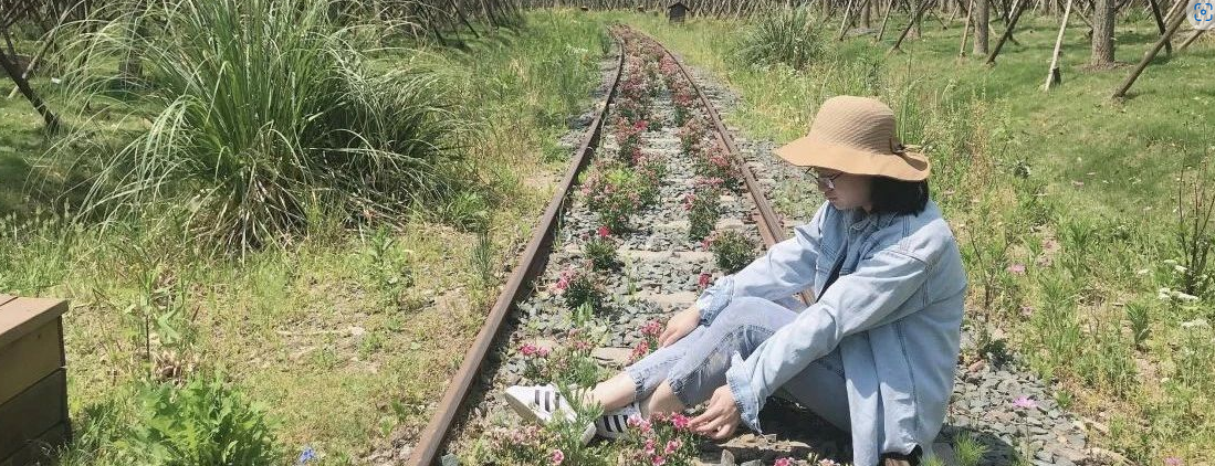 UCL景观OFFER拿下还有米理双录取!东南学姐是怎么做到的?