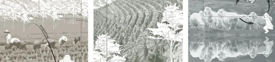 STUDIO回顾 | 再种植:景观设计师需要对土地抱有深刻的情感