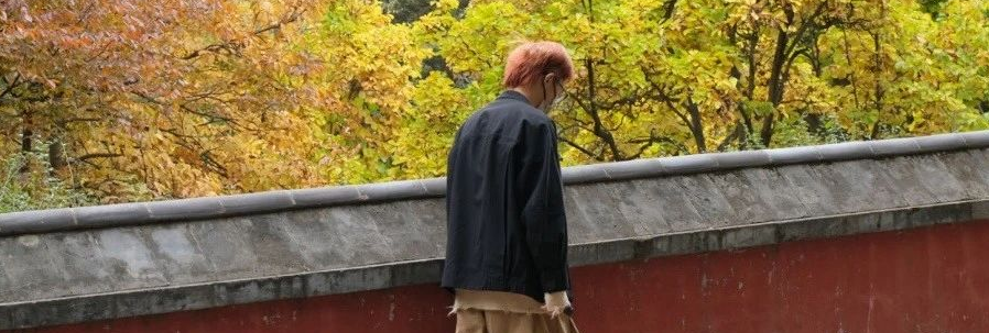 康奈尔景观/UCL景观/新加坡国立等景观留学TOP院校都下offer了，我选择去...