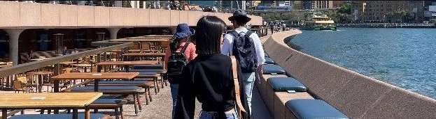 台本学姐英澳混申大满贯，囊获UCL/谢菲/墨尔本/悉尼大学等offer九连！