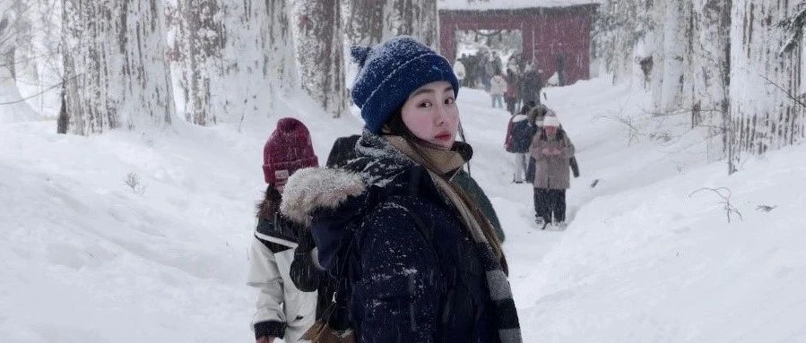 托福90+却拿下宾大建筑和景观双录取：北林学姐如何打动藤校，12连offer拿到手软？